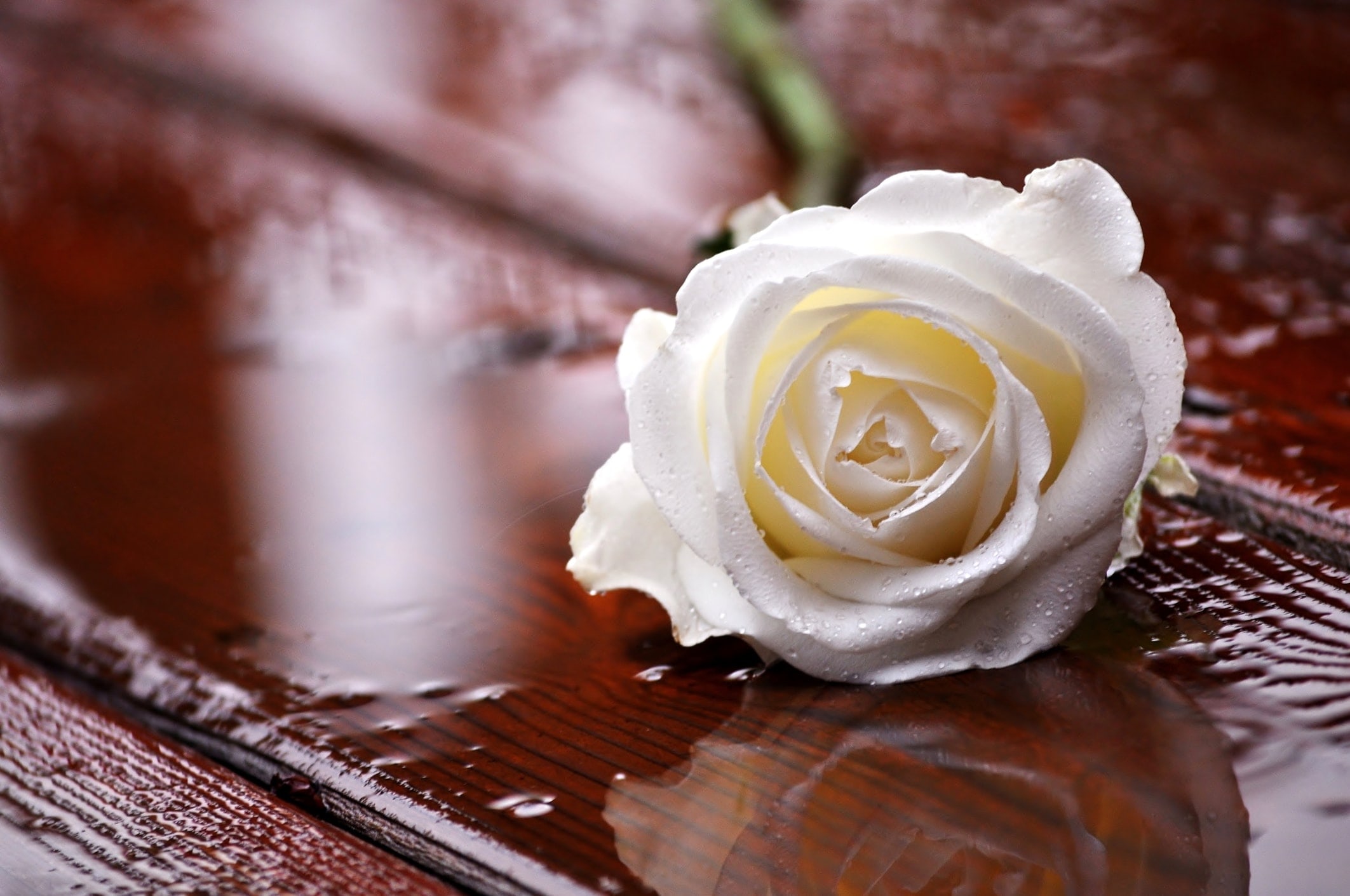 Affordable Funerals Coalville, Loughborough & Ashby-de-la-Zouch ...